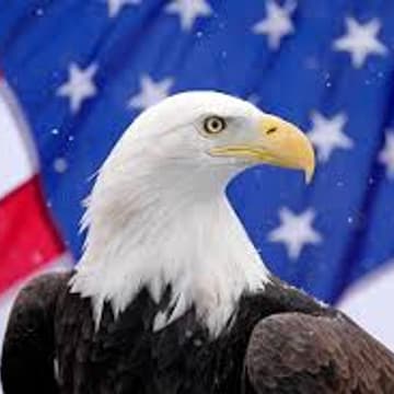 Cover Image for Govtech Happy Hour