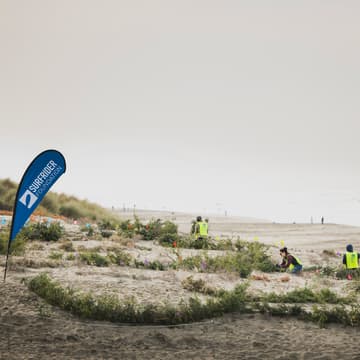 Cover Image for Ocean Beach Dune Revegetation - Judah