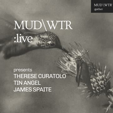 Cover Image for MUD\WTR Live: The Songwriter’s Room