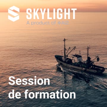 Cover Image for Skylight - Session de formation en ligne [Français]