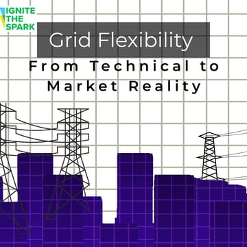 Cover Image for Grid Flexibility: From Technical to Market Reality