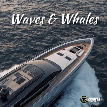 Cover Image for Waves & Whales