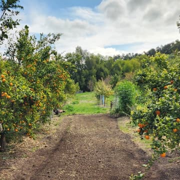 Cover Image for Alley Crop Gardening Workshop