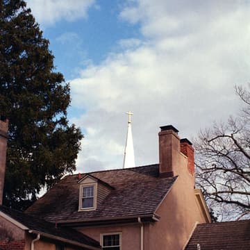 Cover Image for Spring Photo Walk