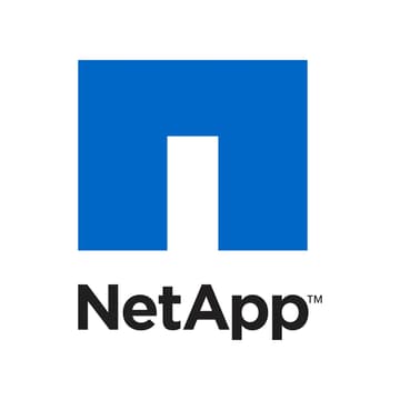 Cover Image for NetApp CEO x IEEE