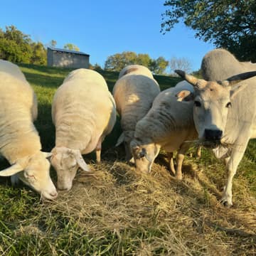 Cover Image for In-person Guided Tour of Gorman Heritage Farm