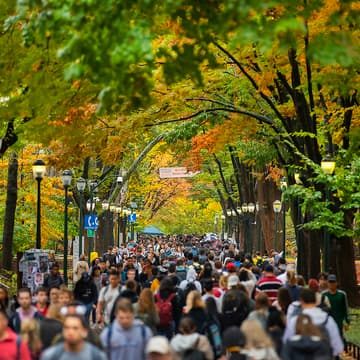 Cover Image for SF Ivy+ Alumni Mixer - Jan 2026