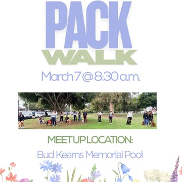 Cover Image for Good Girls SD Pack Walk