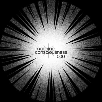Cover Image for MC0001: Machine Consciousness Conference