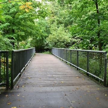 Cover Image for 🌿 Community Nature Walk - A CoQuest Side Quest ⛵️