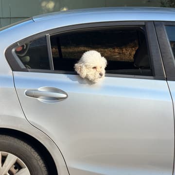 Cover Image for Oakland Noticing Club