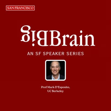 Cover Image for The Original Network: Your Brain