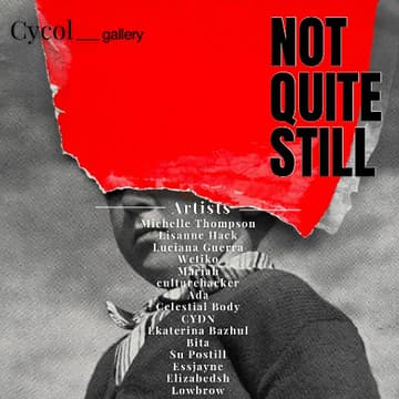 Cover Image for Not Quite Still (Paris)
