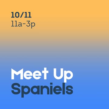 Cover Image for Spaniel Meet Up