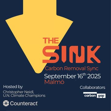 Cover Image for The Sink