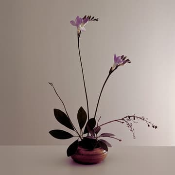 Cover Image for Ikebana Rest-shop