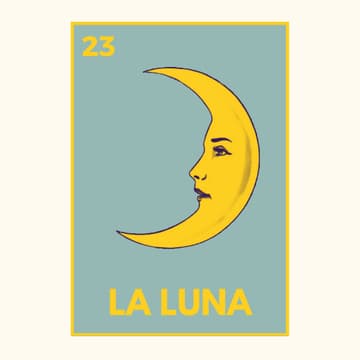 Cover Image for Loteria Night