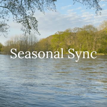 Cover Image for Seasonal Sync