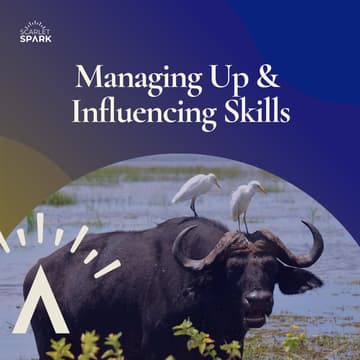 Cover Image for Managing Up & Influencing Skills