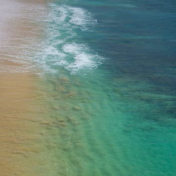 Cover Image for weekly recharge: gentle yoga +reset - Members Only