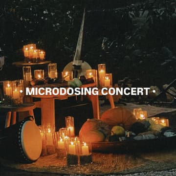 Cover Image for · Microdosing Concert ·