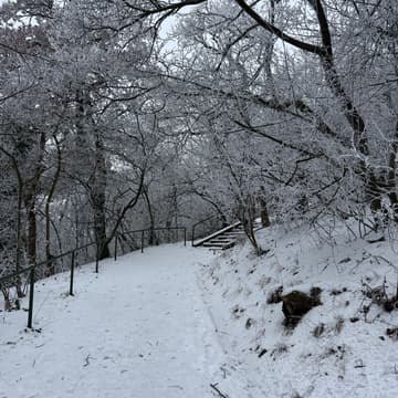 Cover Image for Stadtwanderweg 4a - Ottakring