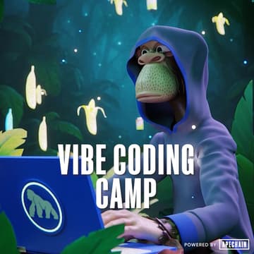 Cover Image for ApeChain Vibe Coding Camp