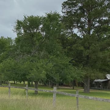 Cover Image for Retiro local “El Arte de Pausar”