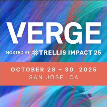Cover Image for VERGE 25