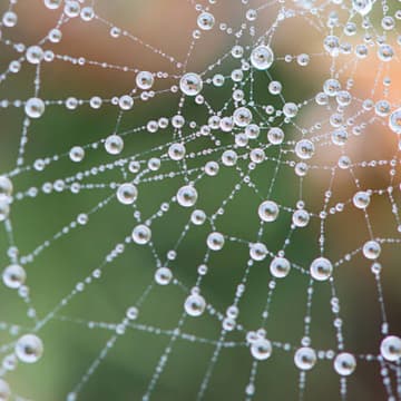 Cover Image for Ecosystem mapping - visualise your ecosystem