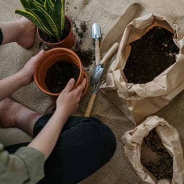 Cover Image for Pot Your Own Plant [Goswell Road]