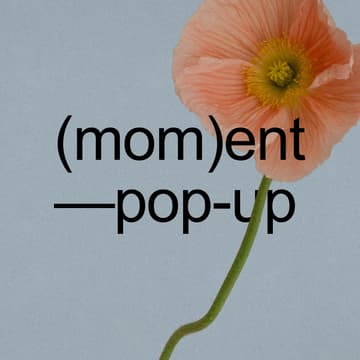 Cover Image for (mom)ent pop-up