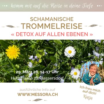 Cover Image for Schamanische Trommelreise: Detox auf allen Ebenen