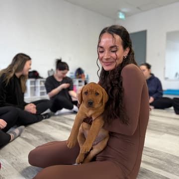 Cover Image for AfroPuppyYoga -📍Kitchener - 🐶 Aussie Bernedoodles