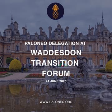 Cover Image for Paloneo Waddesdon Delegation