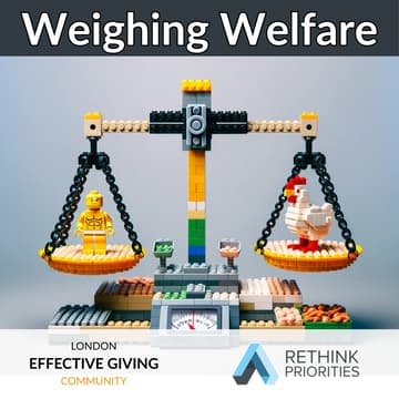 Cover Image for Weighing Welfare with Rethink Priorities & The London Effective Giving Community