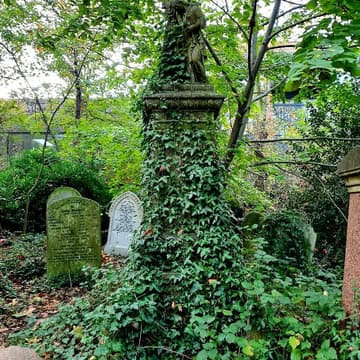 Cover Image for Mindful Photowalk – Noticing the Web of Life in Abney Park Cemetery