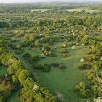 Cover Image for Nature Tech Week Kick-Off - Rewilding Tour & BBQ