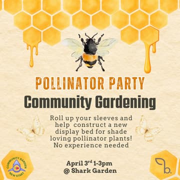 Cover Image for Pollinator Party