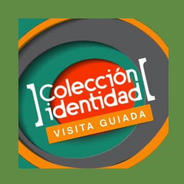 Cover Image for Día 3/ Tarde: Visita Guiada: Muestra Colección Identidad