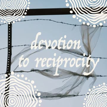 Cover Image for Devotion to Reciprocity