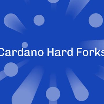 Cover Image for Hard Fork Working Group