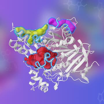 Cover Image for Deep Origin × SAGIM Happy Hour during DDC Week: No Slides, Just Science!