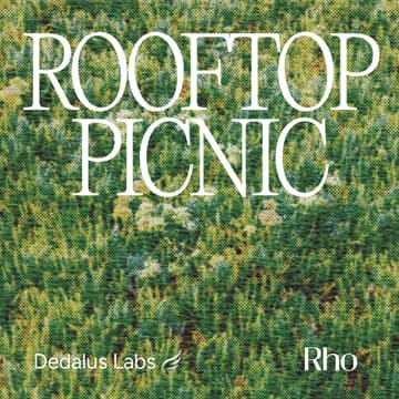 Cover Image for Rooftop Picnic