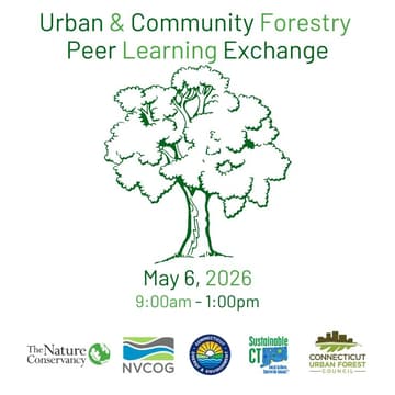 Cover Image for Naugatuck Valley Region: Urban and Community Forestry Peer Learning Exchange