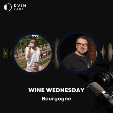 Cover Image for π· Wine Wednesday β Bourgogne! π