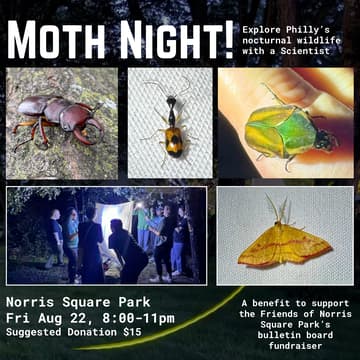 Cover Image for Moth Night at Norris Square Park Aug 22