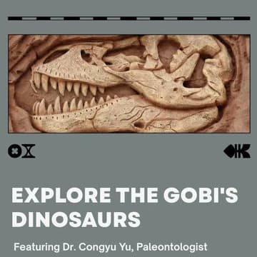 Cover Image for 🦖Dinosaurs of the Gobi 恐龙传奇与戈壁探险