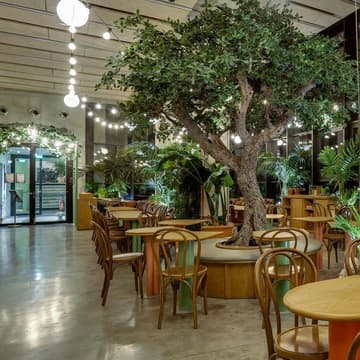 Cover Image for 📚 XL Reading Party x live Piano Concert 🎹 | Nuits de la lecture | TiTi Palacio