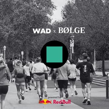 Cover Image for WFL Social run & Café - WAD x Bolge Cafe 7 km